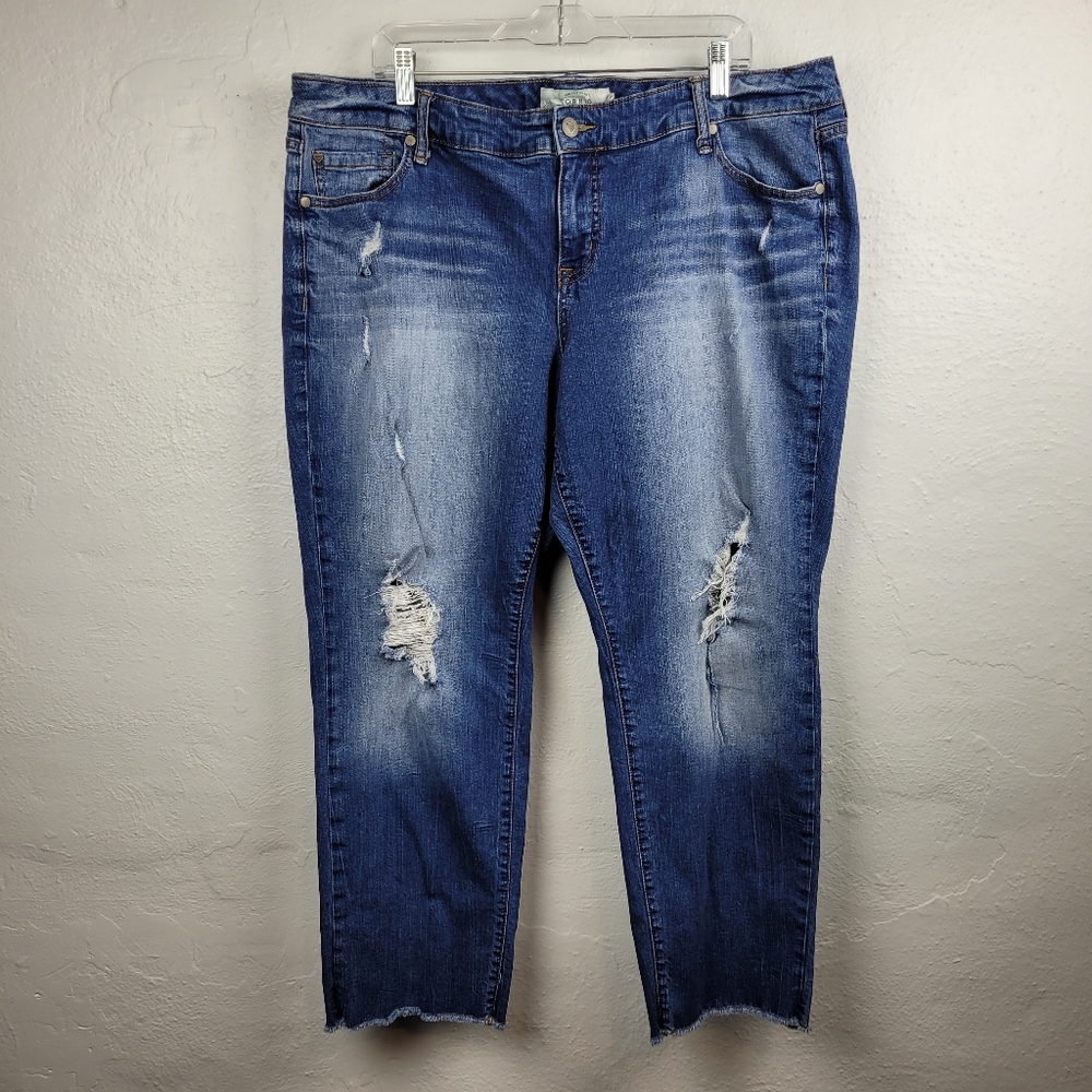 Distressed Torrid Jeans